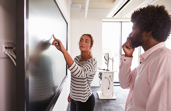 sistemas para videoconferencias